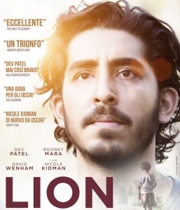 lion