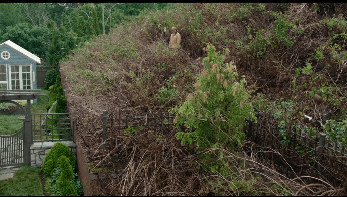 AwesomeScreenshot-www-tribute-ca-trailers-whered-you-go-bernadette-25174--2019-08-16_2_46